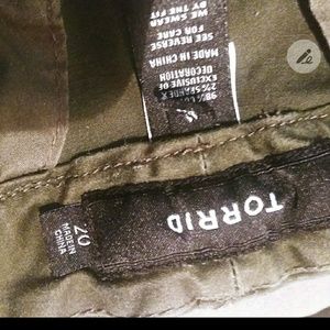 Torrid shorts